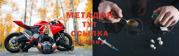 мдпв Гусев