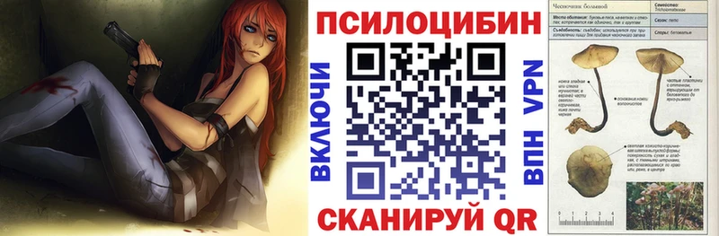 Псилоцибиновые грибы Psilocybine cubensis  Купить  Павловская 